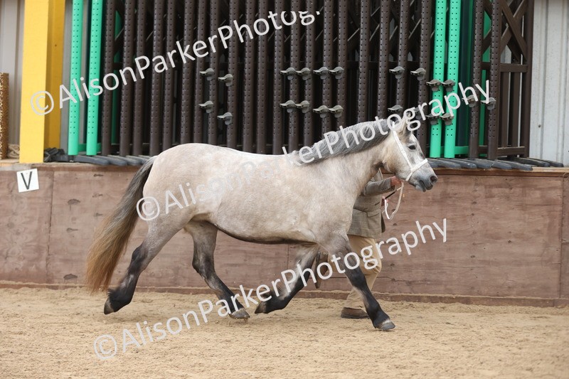 20251109-0883 - Class 26 - 2 and 4 Year Olds