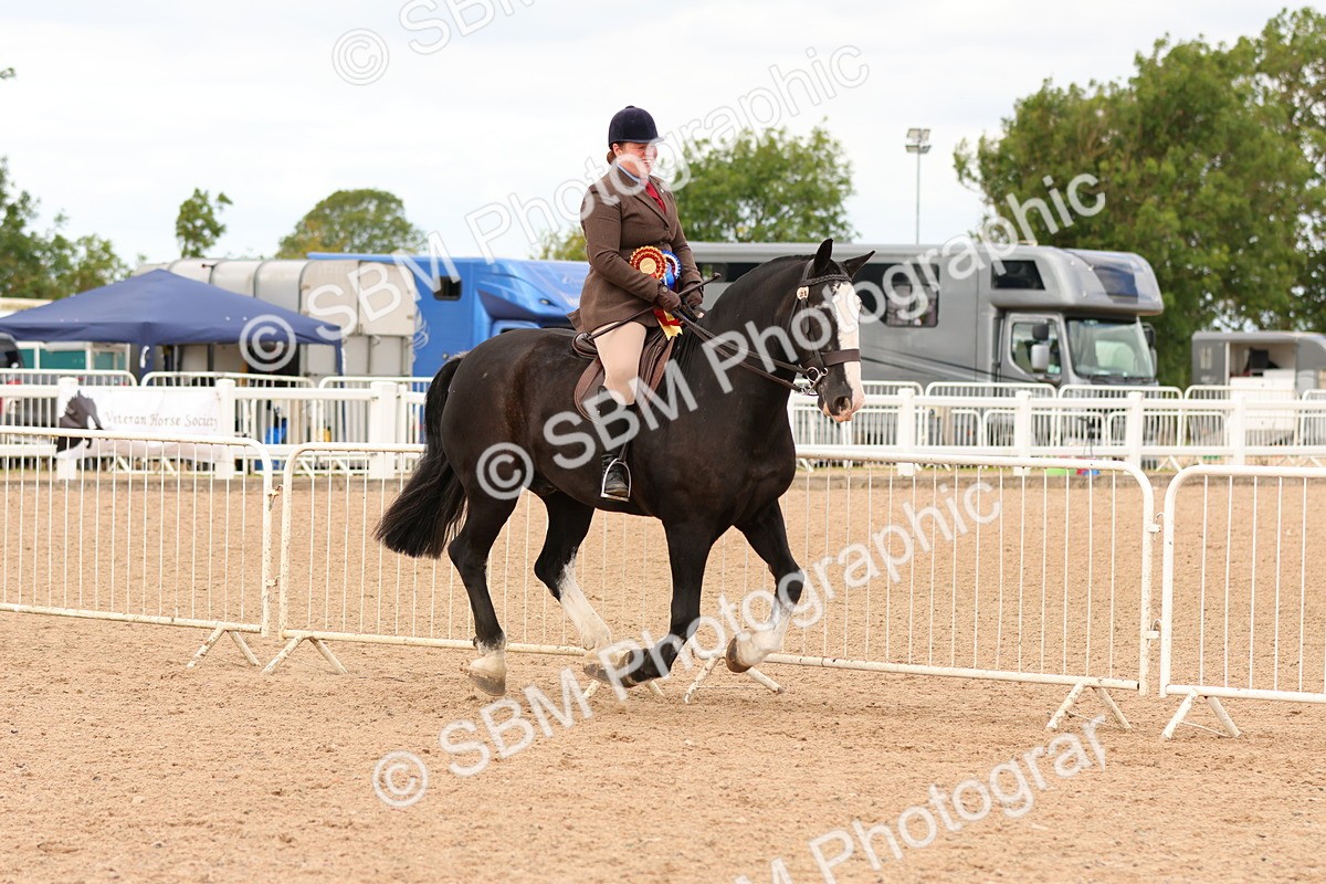 SBM_15623 - Class 214 - Ridden Show Cob