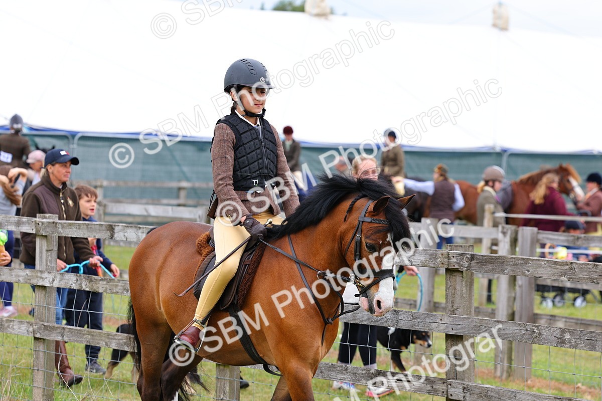 SBM_08432 - Class 42-43 - LIHS BSPS Heritage Working Sports Pony