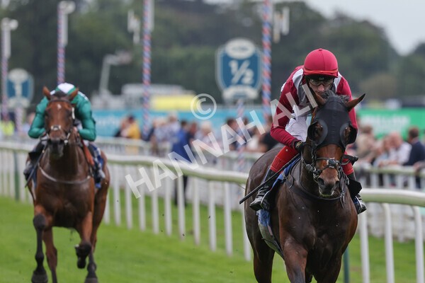 yr24092021r5-23 - Race 5 3.50pm William Hill Leading On Course Bookmaker Stakes