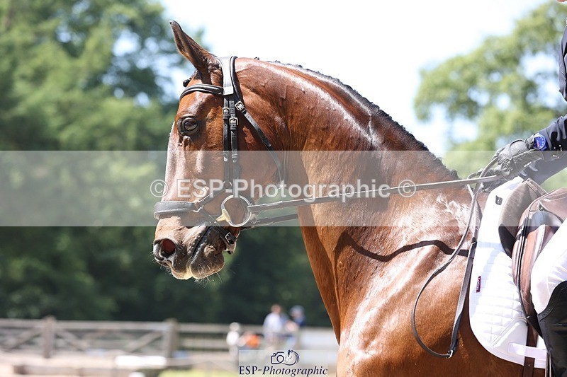 230526-130259-06307 - 164-TREBOR-Kelly_Mccarthy-maine-WEDTrotUp+DR