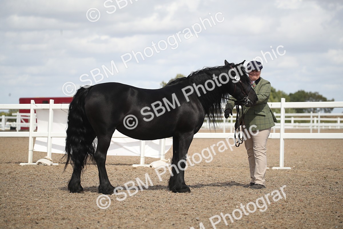 SBM_23085 - Class 606 - 2026 - Area - IH Pre Vet