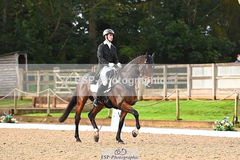 231021-091436-12805 - 324-HAZZLE.DAZZLE-Henry.Hobby-DR