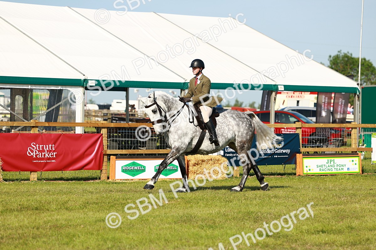 SBM_11800 - Class 66-69 - RIHS Ridden Hunters Inc Small Hunter