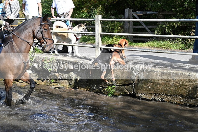 WJ7_6025 - Hounds Water Crossing