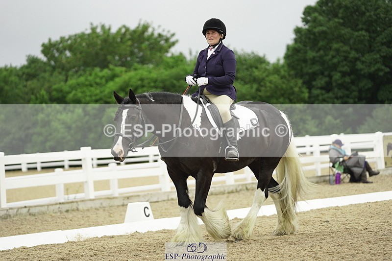 230708A-100456-00307 - Intro C