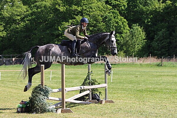 IMG_4597 - Working Hunter
