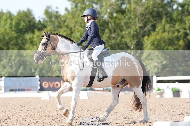 250817-165016-11775 - 172-Lilly.PapworthCammach.Wheres.Whally