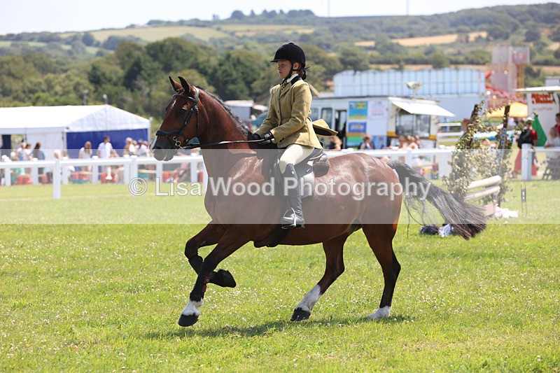 JPP_2984 - Class 22: Working Hunter 70cm
