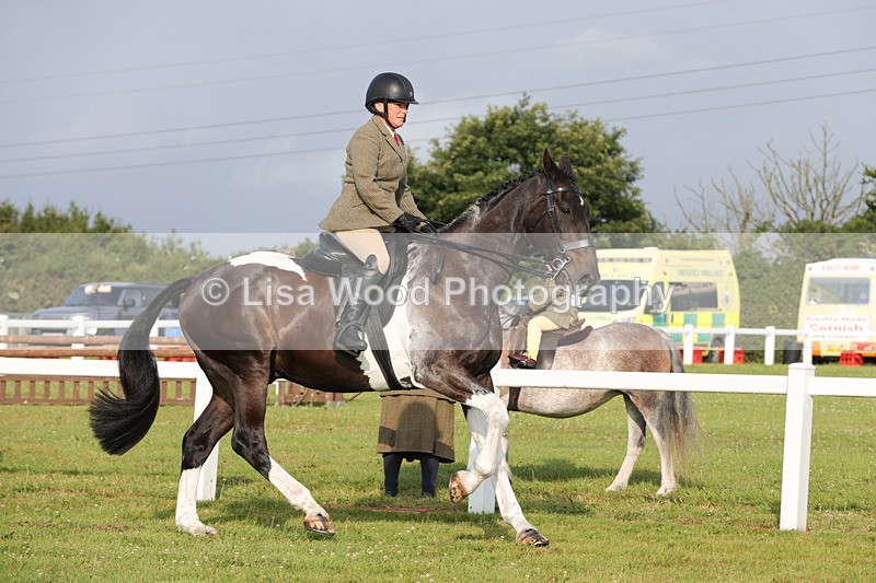 1X9A2843 - Class 25: Ridden Plaited Coloured Horse