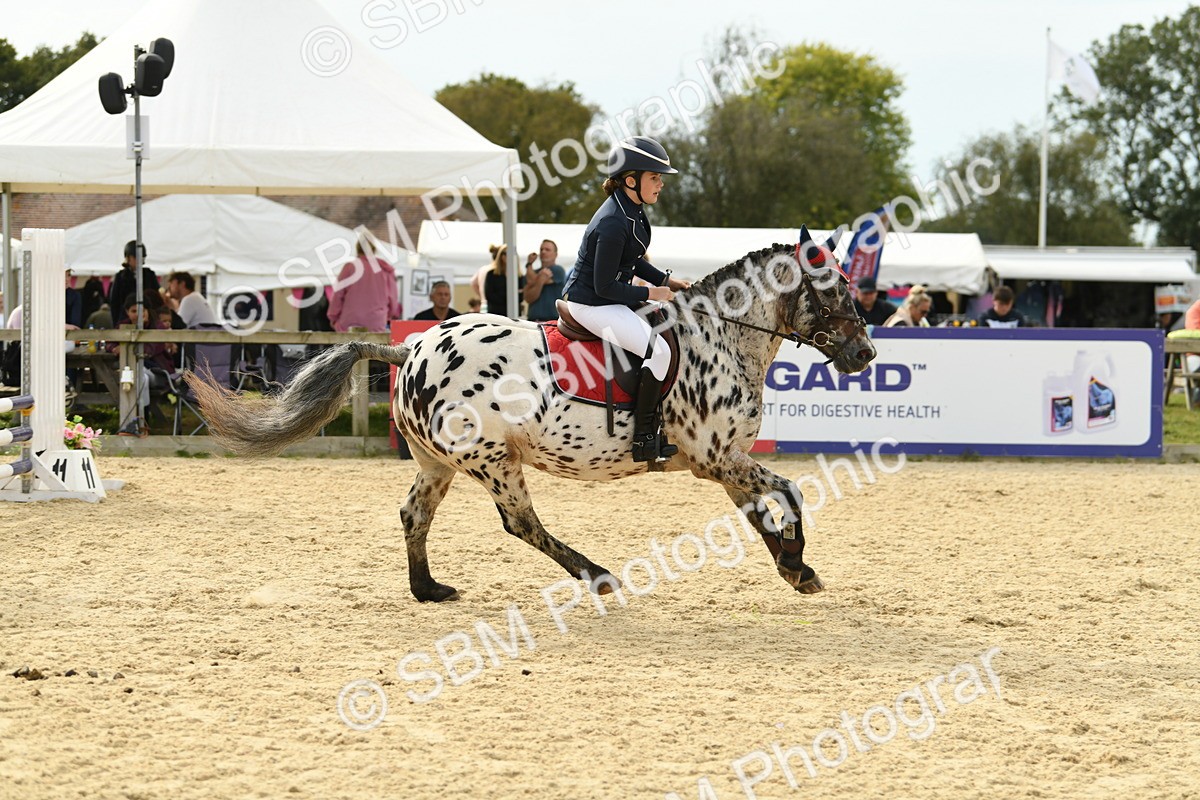 SBM_71091 - J15 - Junior Pony 70cm Championship