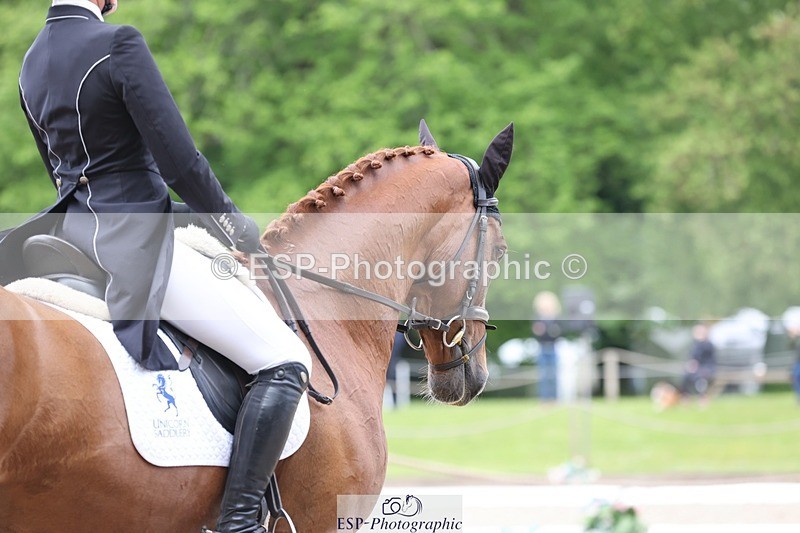 240523-105850-03457 - 216-I'M_A_WONDER-Rosie_Bradley-Hole