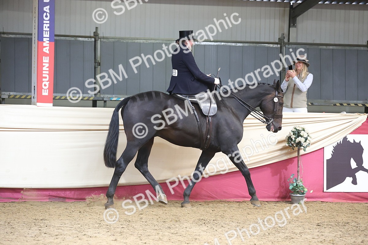 SBM_23699 - class 906 - Supreme Final - Ridden Pre Vet