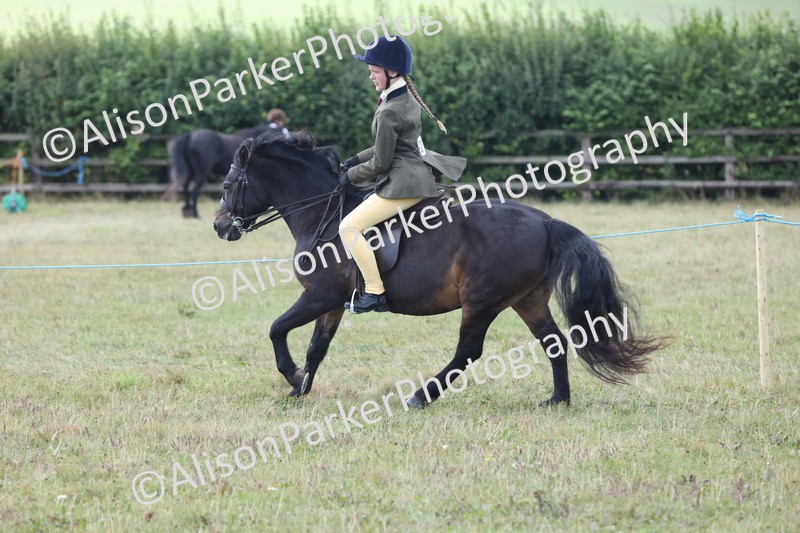 20250831-1176 - Class 15 - Ridden Veteran