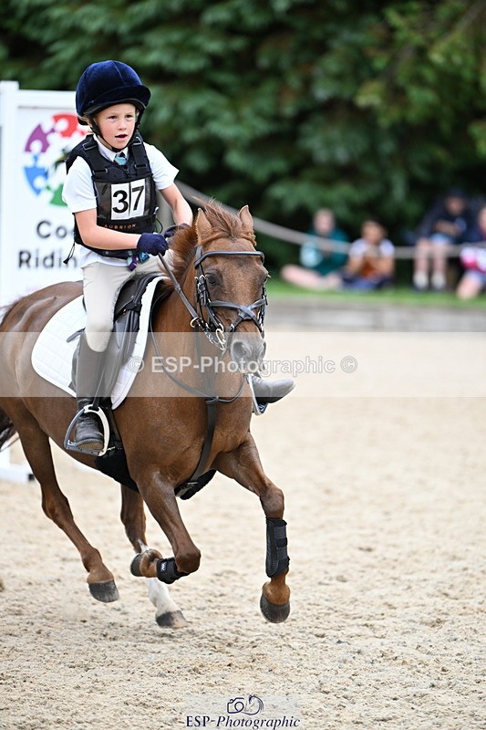 250622A-105845-01006 - 50cm