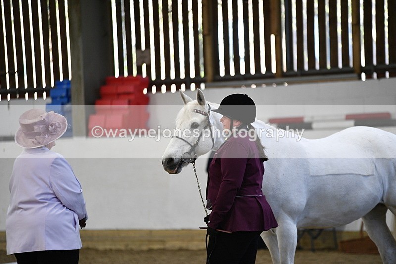 WJ5_3692 - Class 5 In Hand Veterans