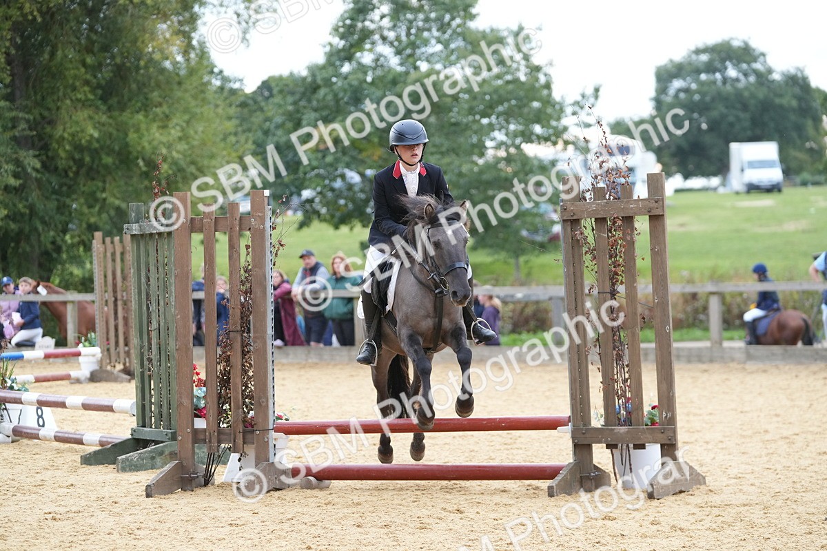 SBM_74879 - J4 - Mini Tour Junior Pony 45cm Championship