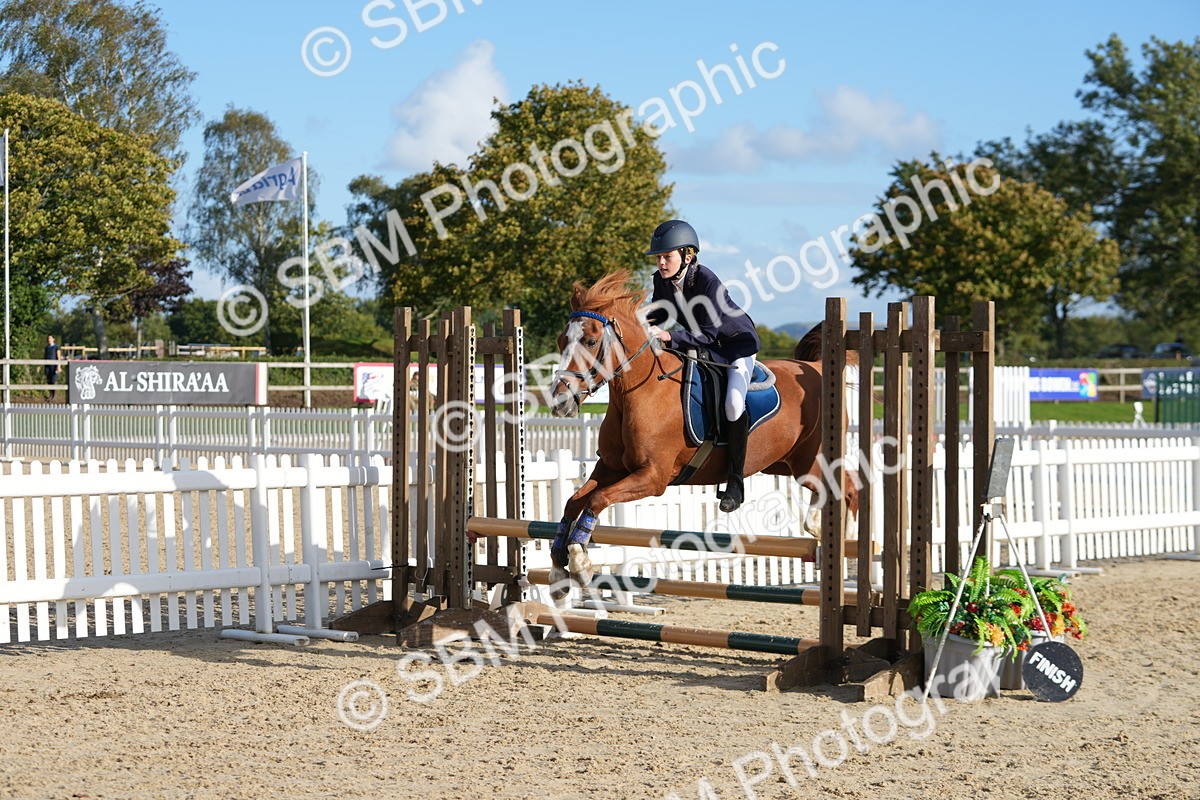 SBM_51163 - J8 - Junior Pony 65cm Championship