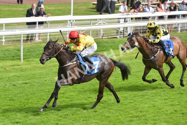 yr10072021r4-14 - Race 4: 3.30pm John Smith's Nursery Stakes