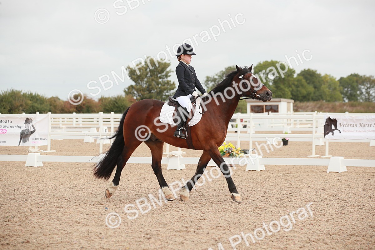 SBM_02602 - Class 30 - Intro 1