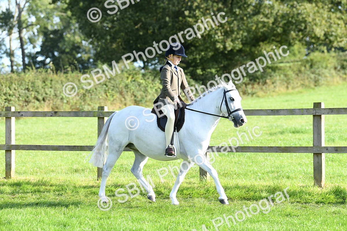 SBM_52380 - S22 - 1st Ridden Show & Show Hunter Pony