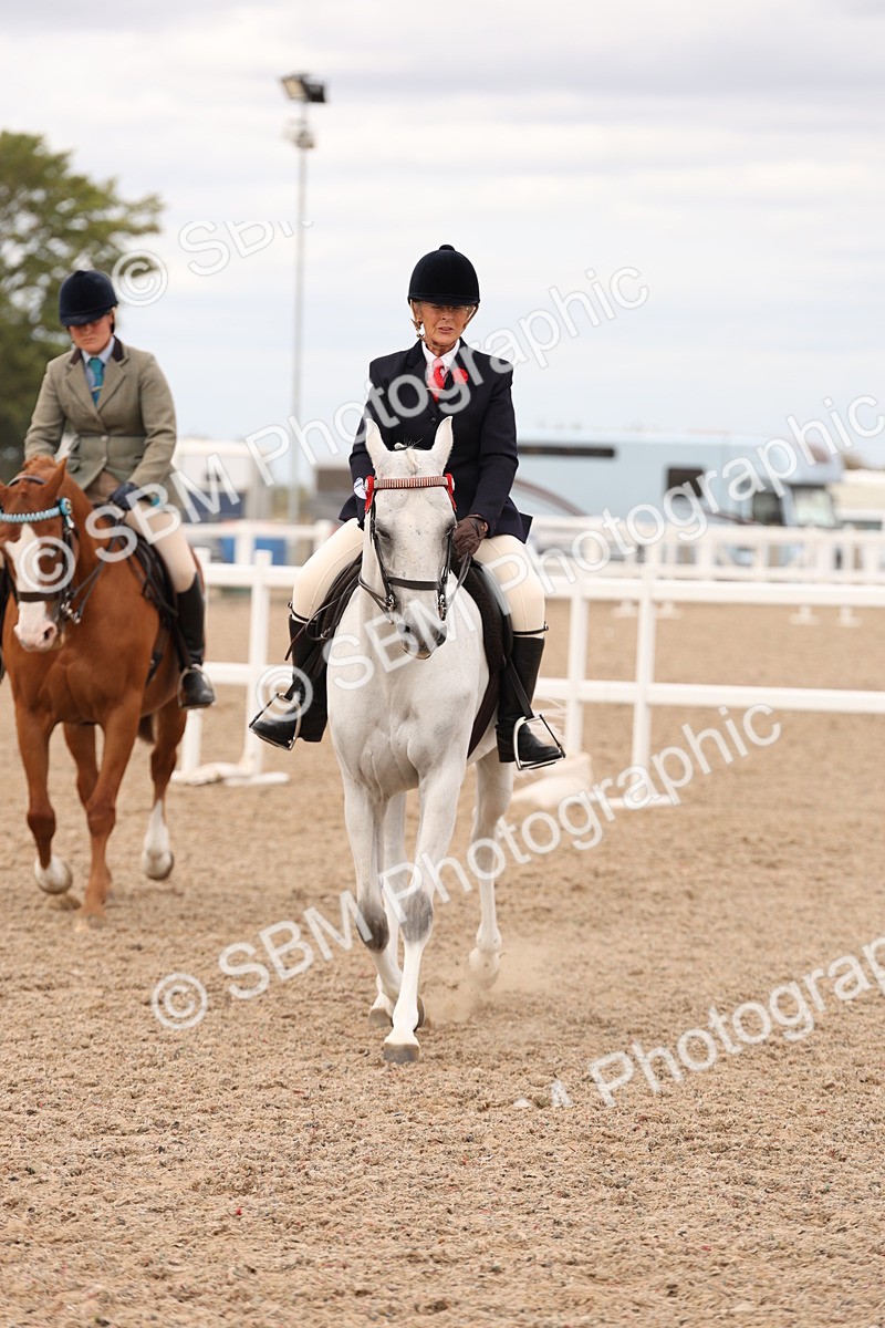 SBM_17332 - Class 214 - Ridden Hack Riding Horse