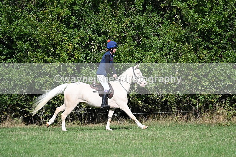 WJ7_8553 - 60cm Pairs