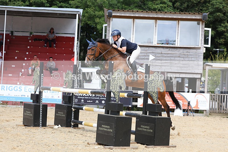 3E7A1899 - Class 9: Senior Foxhunter/1.20 open
