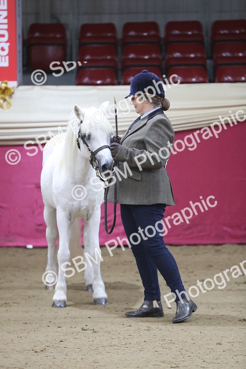 SBM_00262 - Class 1a - Area IH Diamond