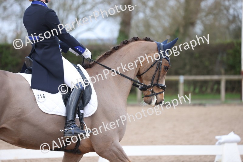 20260301-1208 - Class 12 - PSG