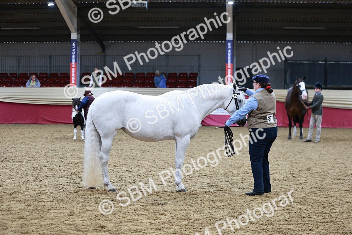 SBM_01198 - Class 3A - Area IH Pre-Vet