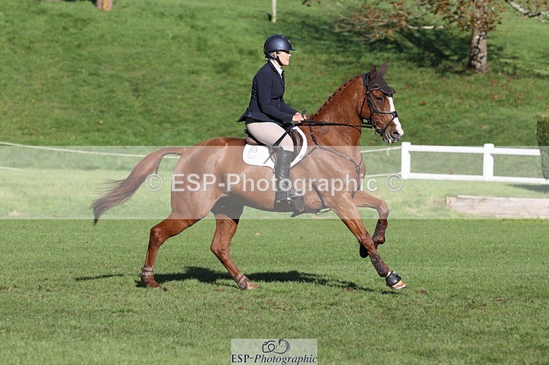 231022-110206-24910 - 663-GROOVY.GUY-Hannah.Watson-TrotUp+SJ