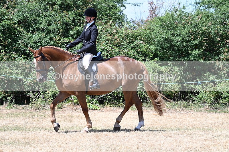 WJ7_2760 - Class 7 Riding Club Show Horse