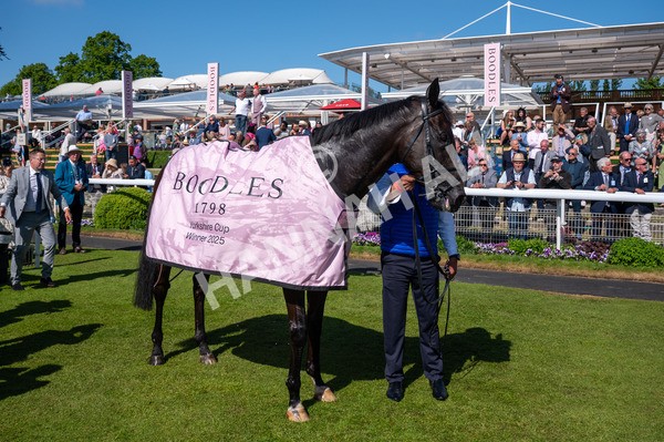 160525-Race 4-Rebels Romance-6464 - Race 4 3.45pm Boodles Yorkshire Cup Stakes