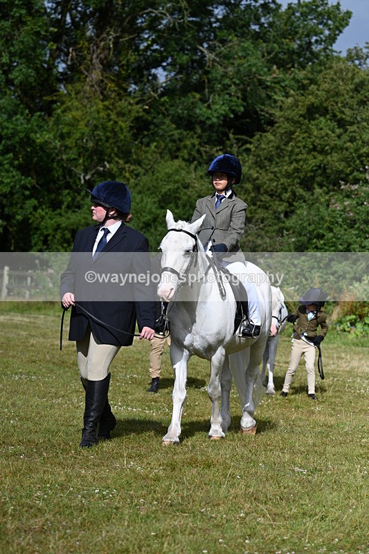 WJ7_4317 - Class 1 Lead Rein Pony
