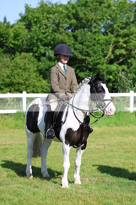 3E7A6016 - Class 27: Novice Working Hunter Pony
