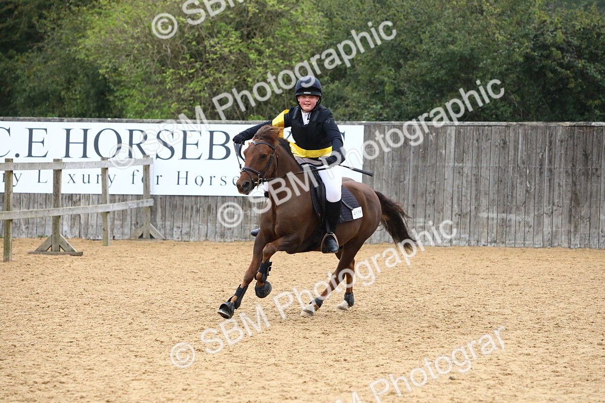 SBM_72126 - J3b - Mini Tour Junior Pony 40cm Championship