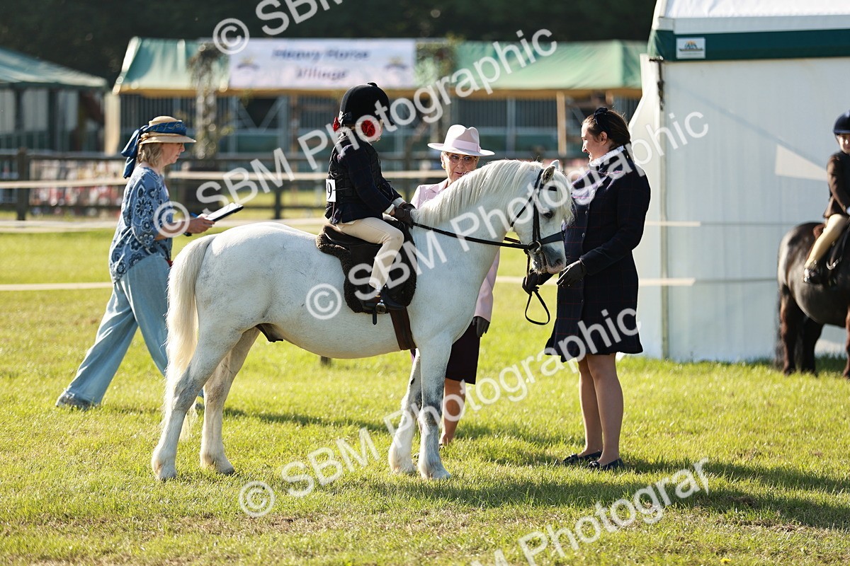 SBM_11089 - Class 106-107 - BSPS LIHS Working Sports Pony