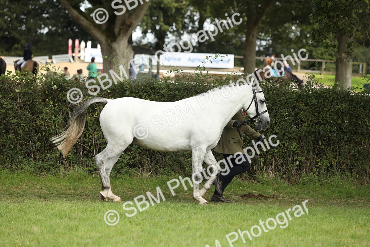 SBM_68539 - S40 - Junior Handler 9-12 Years