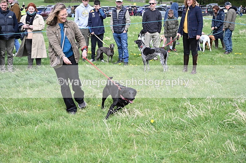 WJ6_8333 - Class 4 Prettiest Bitch