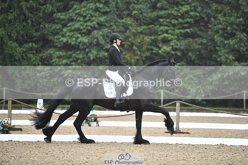 240720-093940-03559 - 274-Paige_Beattie-Orcaber_Dark_Secret