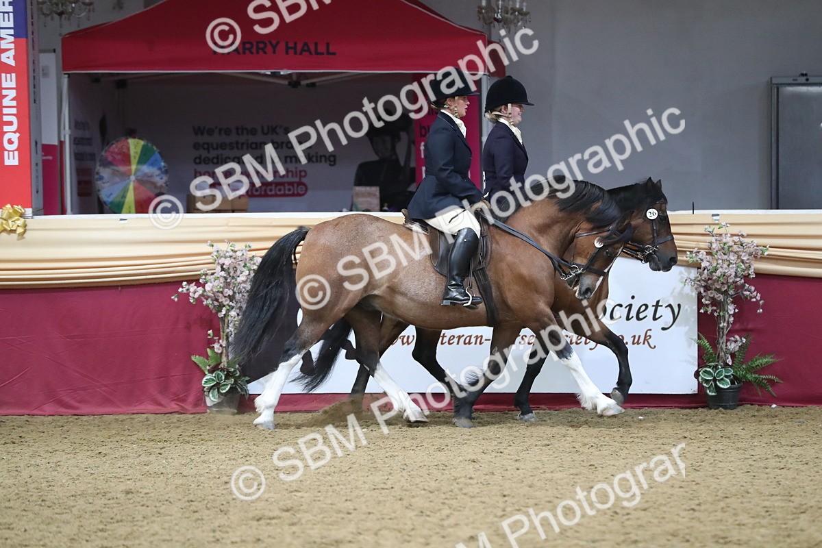 SBM_13707 - Class 109 Ridden Pairs - Section B