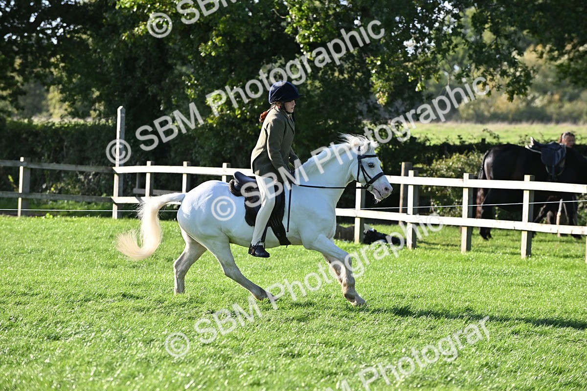 SBM_53049 - S23 - First Ridden Mountain & Moorland Pony