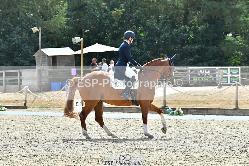260802A-151758-07354 - Intermediate Bronze