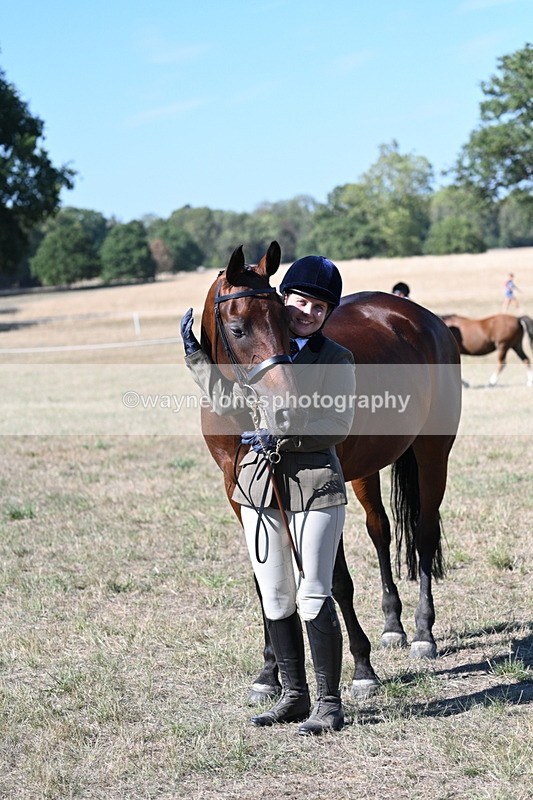 WJ7_1872 - Class 43 Best Six Legs (In hand)