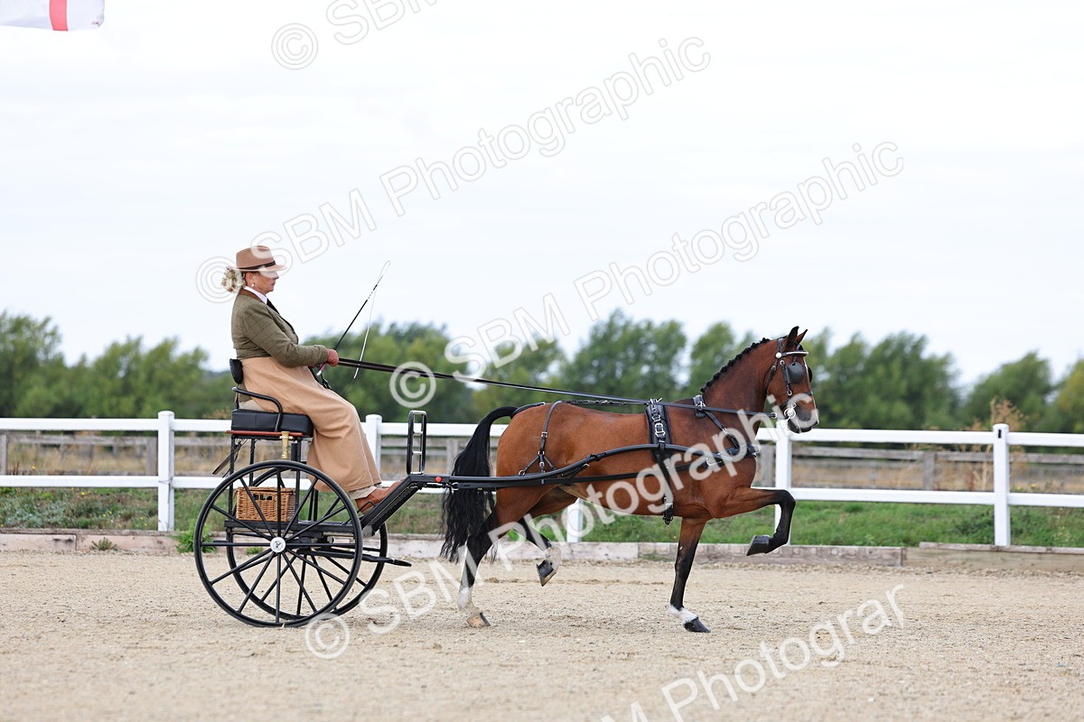SBM_000256 - Class 2 - Exercise Vehicle 13.2hh & Under
