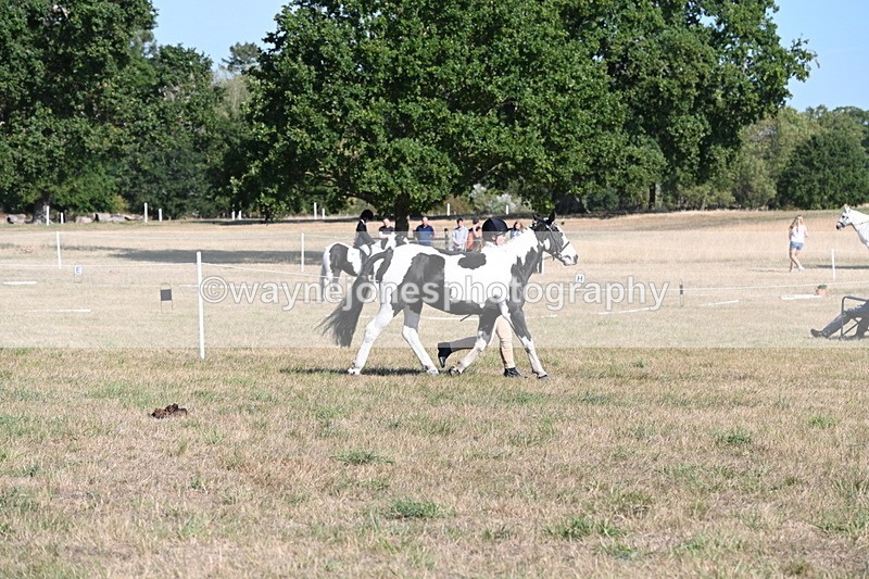WJ6_7239 - Class 33 Rescue Pony