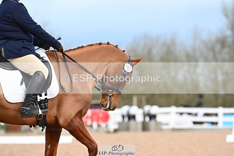 240323A-100349-01073 - MyQuest Prelim 12