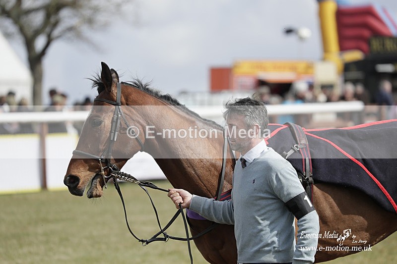 PtP 180323 238 - Shelfield Park Races with Croome & West Warwickshire Hunt  18/03/23