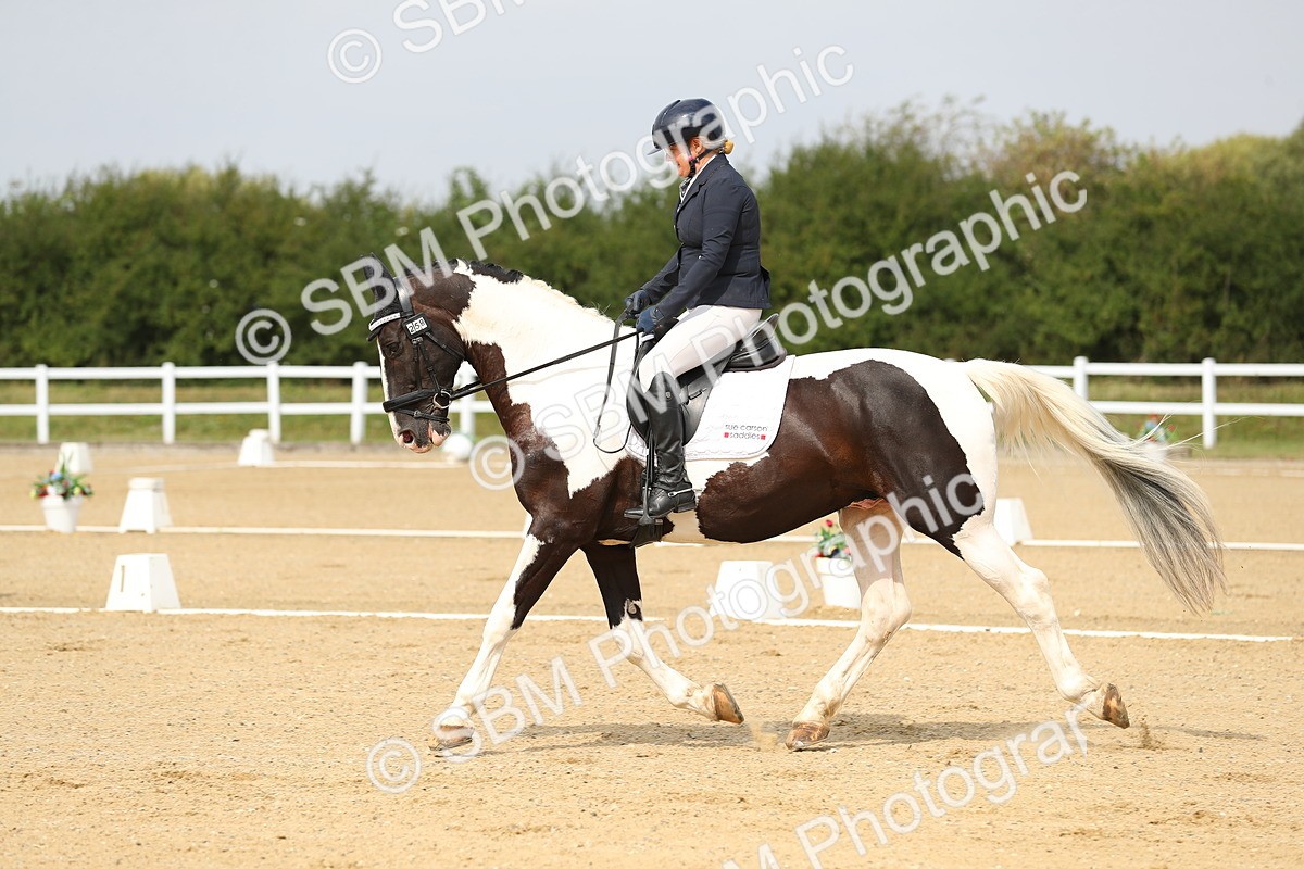 SBM_017263 - Class 13 - Novice 23 - 13.31-14.13